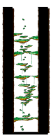 Victoria Road: Dungeon, Southern Forest II from the MapleReverie GMS v28 client