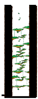 Victoria Road: Tree Dungeon, Monkey Forest I from the MapleReverie GMS v28 client
