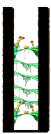 Victoria Road: Tree Dungeon, Forest Up North IX from the MapleReverie GMS v28 client