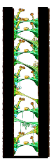 Hidden Street: Magician's Tree Dungeon from the MapleReverie GMS v28 client
