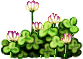 a pile of flowers from the MapleReverie GMS v28 client